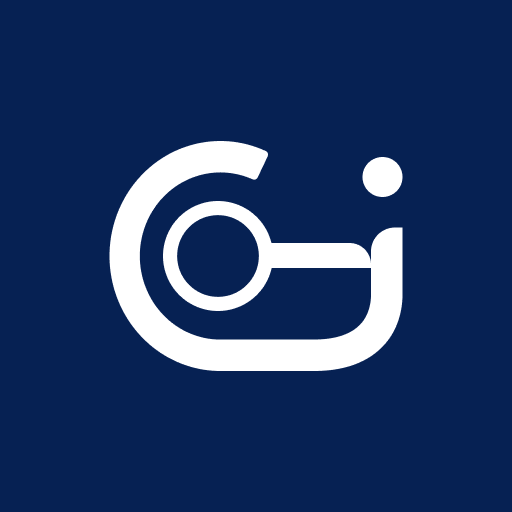 CODEX IT SOLUTIONS LTD